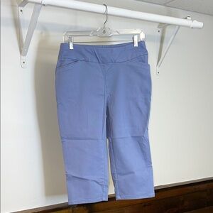 Croft &‎ Barrow Purple Effortless Stretch Capris- 8P